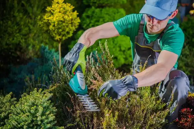landscaping services North Adams